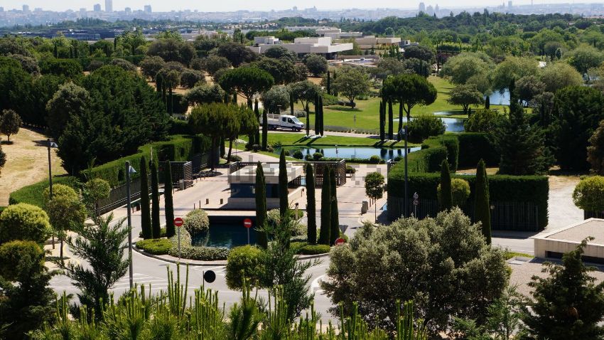 El Coaching en el pueblo con menos desempleo de España