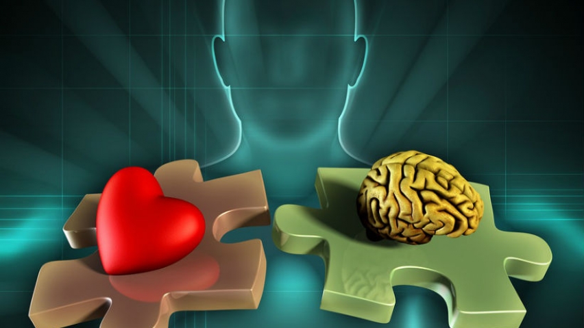 Camino a la excelencia con Inteligencia Emocional