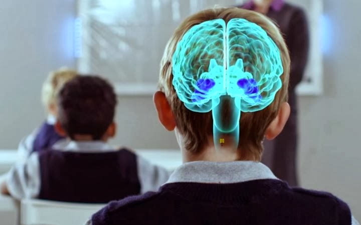 Neuroeducación